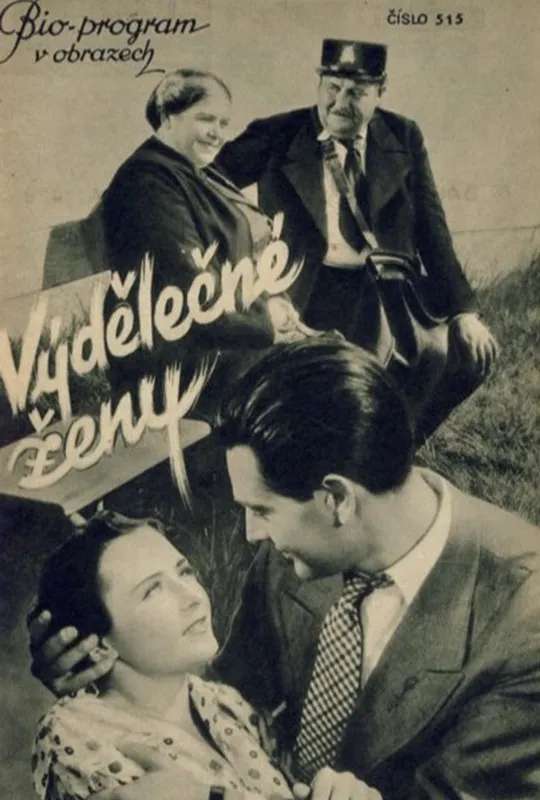 Výdělečné ženy poster