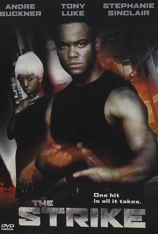 Fighting Chance poster