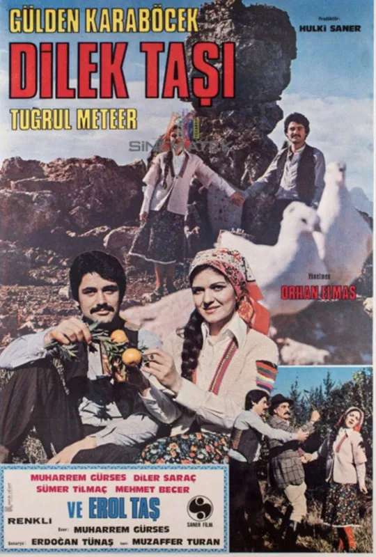 Dilek Taşı poster