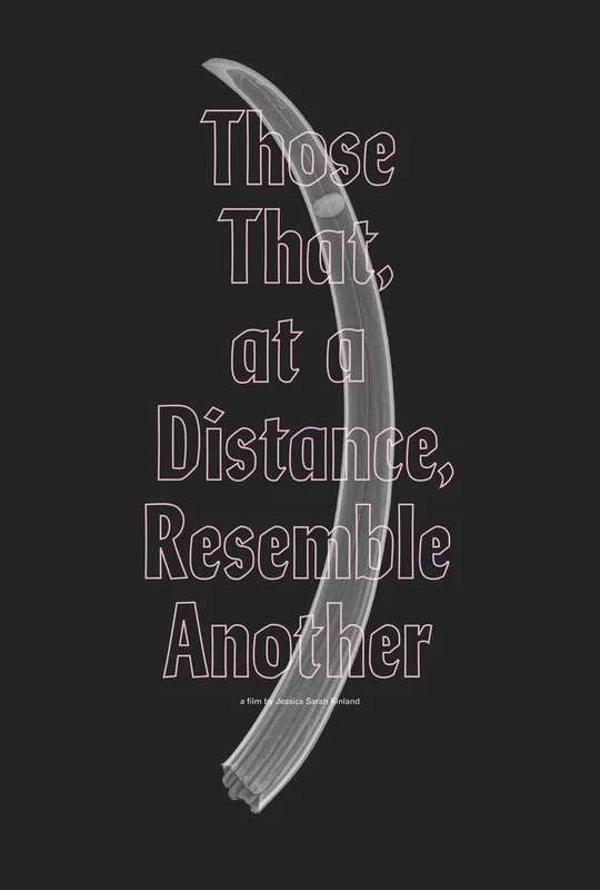 Those That, at a Distance, Resemble Another poster