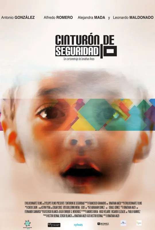 Seat Belt poster