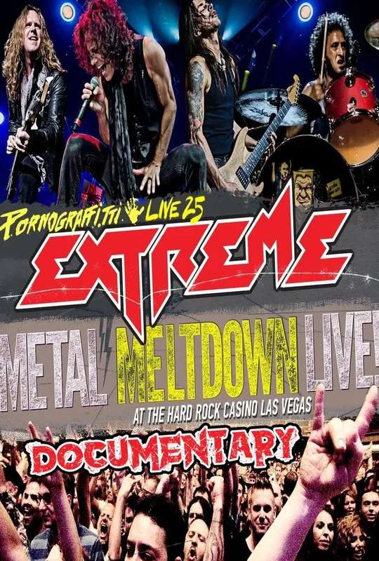 Extreme: Pornograffitti Live 25 Documentary poster