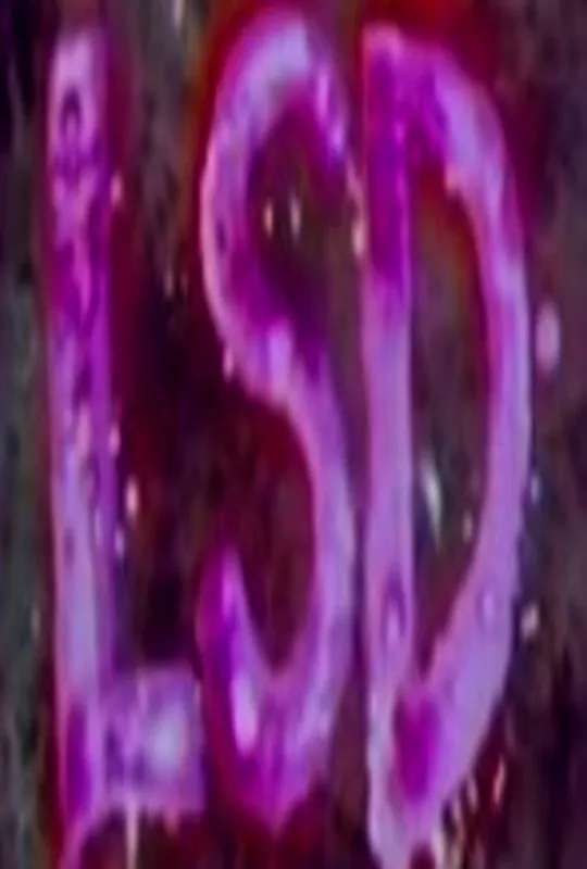 LSD poster