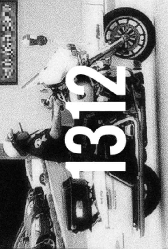 1312 poster