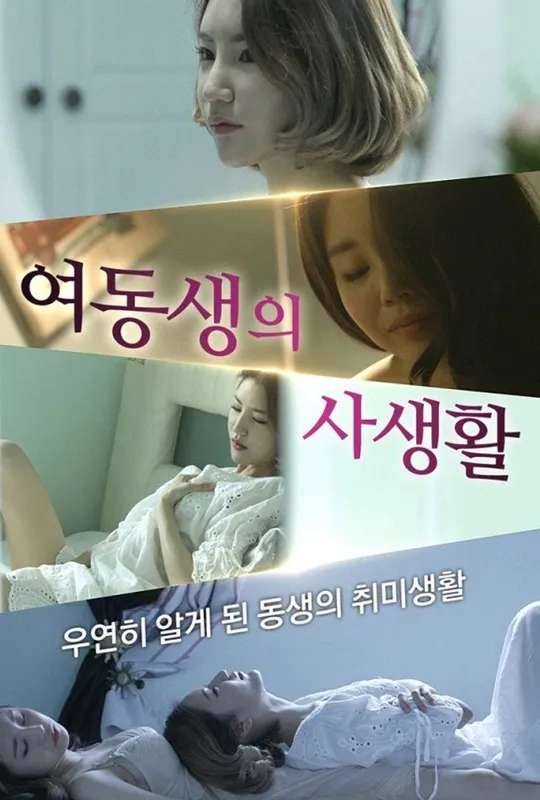 Little Sister's Private Life poster