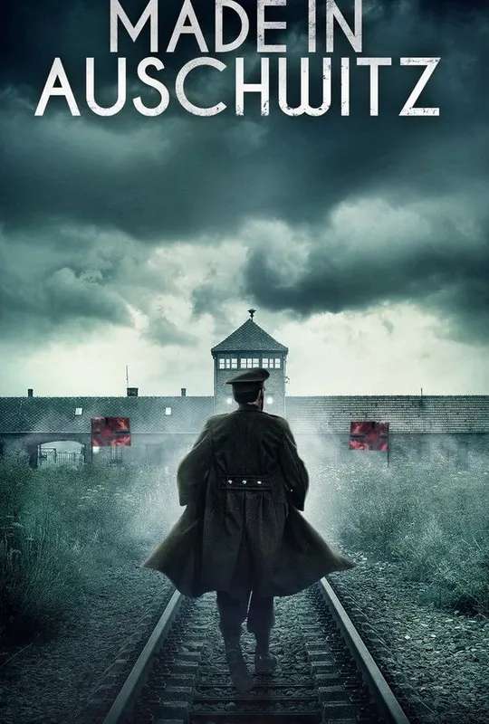 Made in Auschwitz: The Untold Story of Block 10 poster