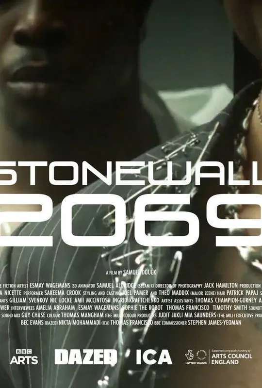 Stonewall 2069 poster