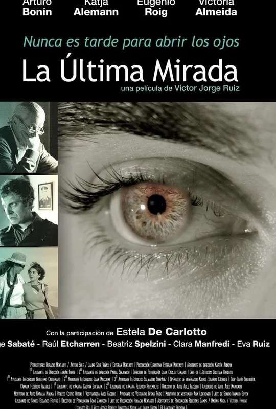 The Last Look poster