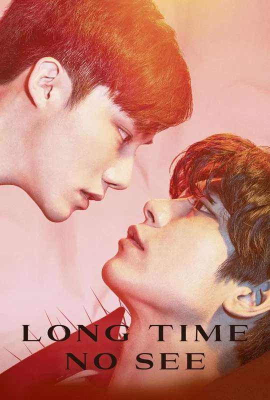 Long Time No See poster
