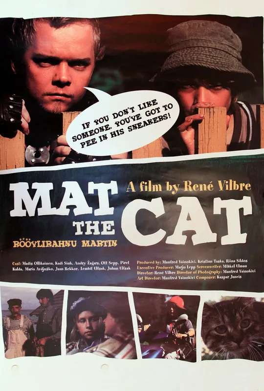 Mat the Cat poster