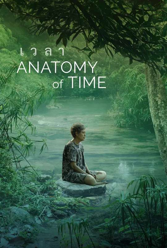 Anatomy of Time poster