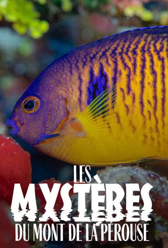 The mysteries of Mont La Pérouse poster