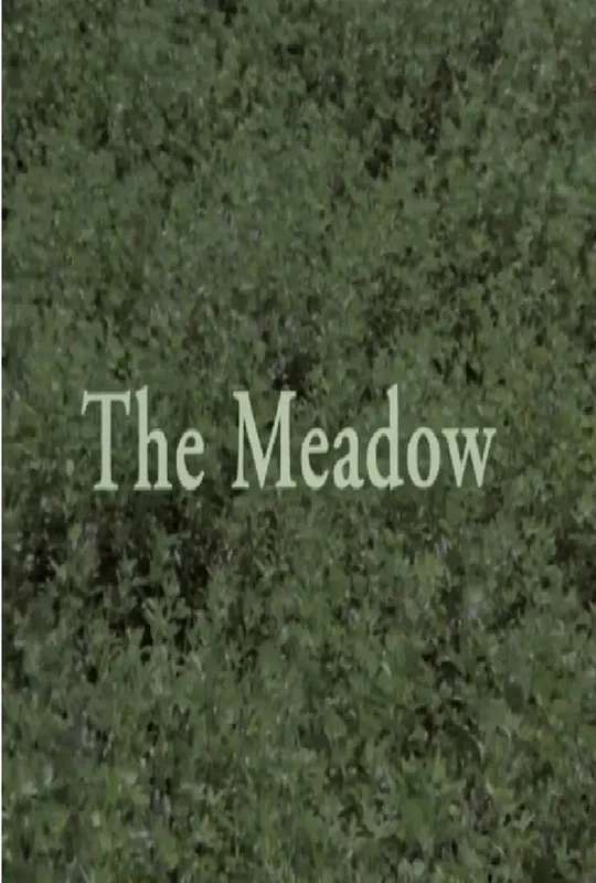 The Meadow poster