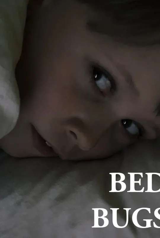 Bed Bugs poster