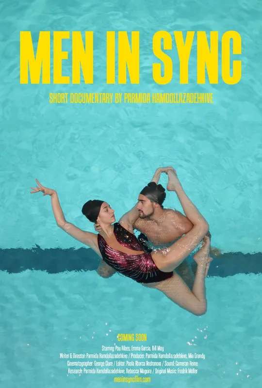 Men In Sync poster