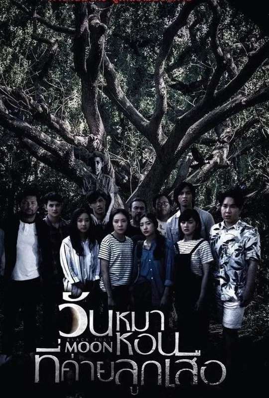 Black Full Moon poster