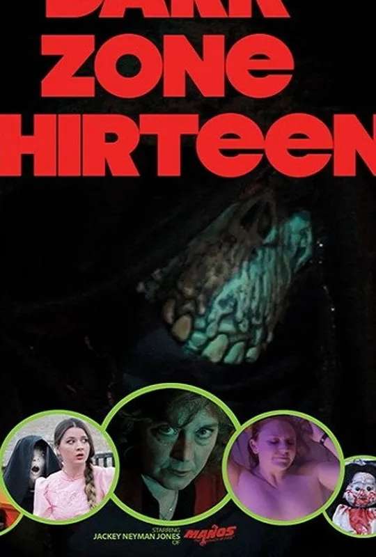 Dark Zone Thirteen poster