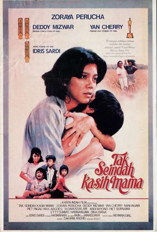 Not as Beautiful as a Mother's Love poster