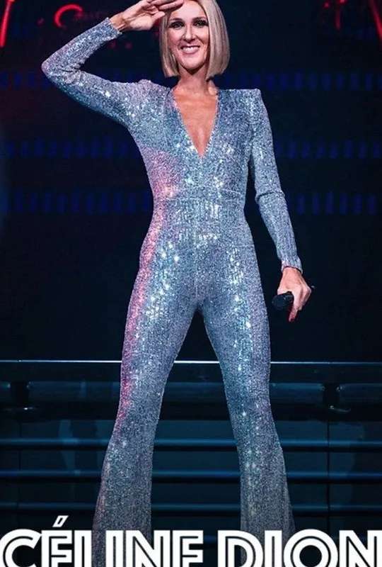 Céline Dion : une voix, un destin poster