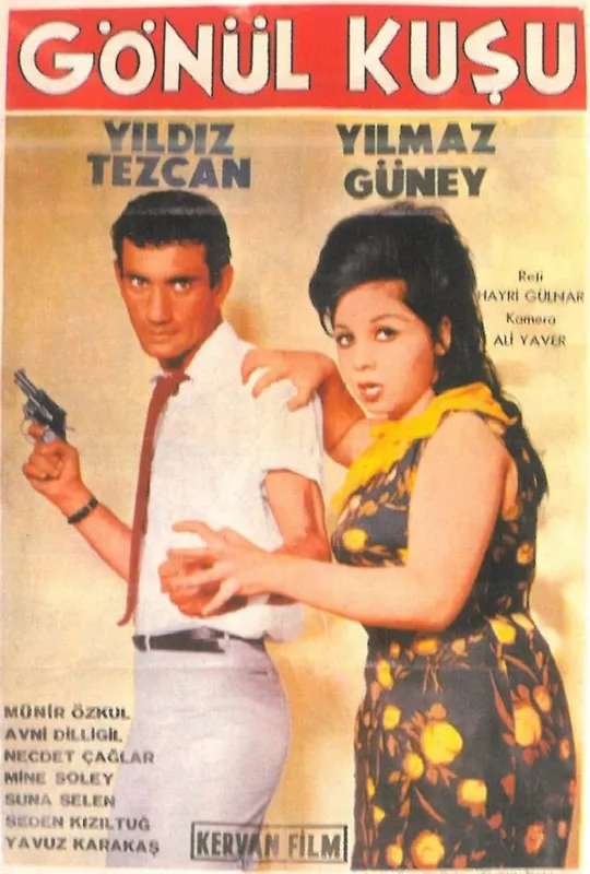 Gönül Kuşu poster