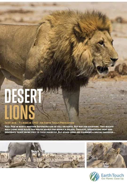 Desert Lions poster