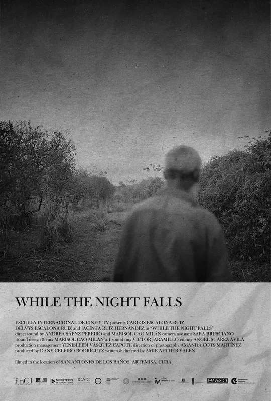 While The Night Falls poster