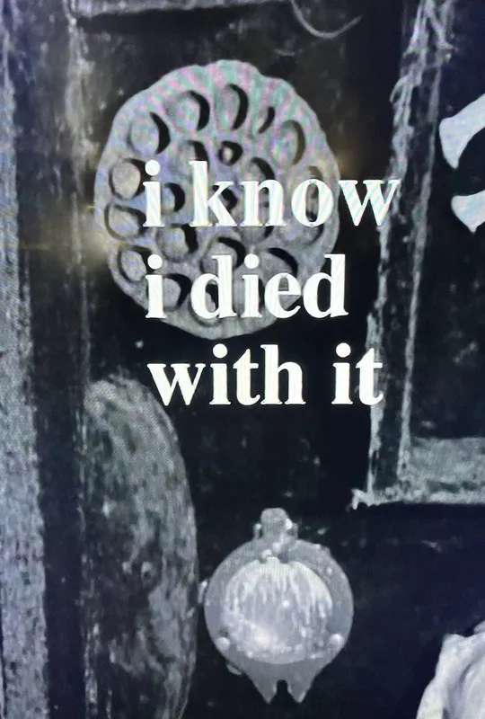 I Know I Died with It poster