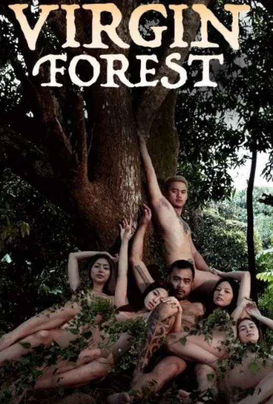 Virgin Forest poster