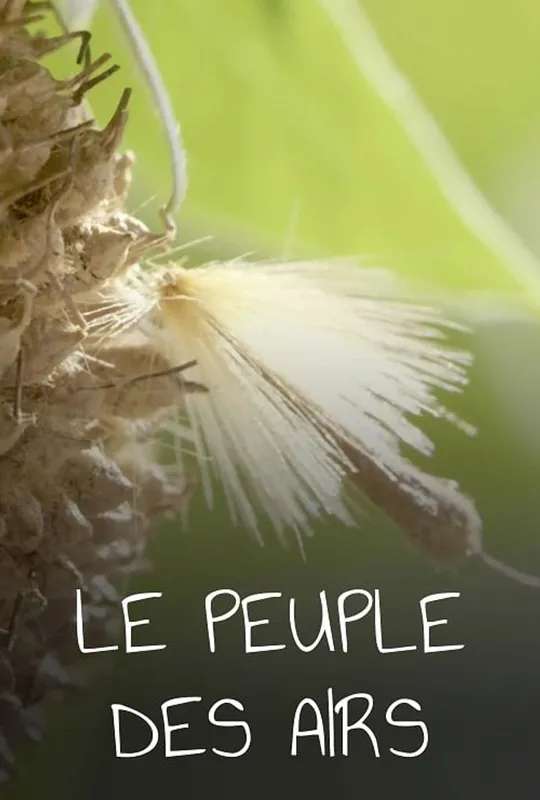 Le Peuple des airs poster