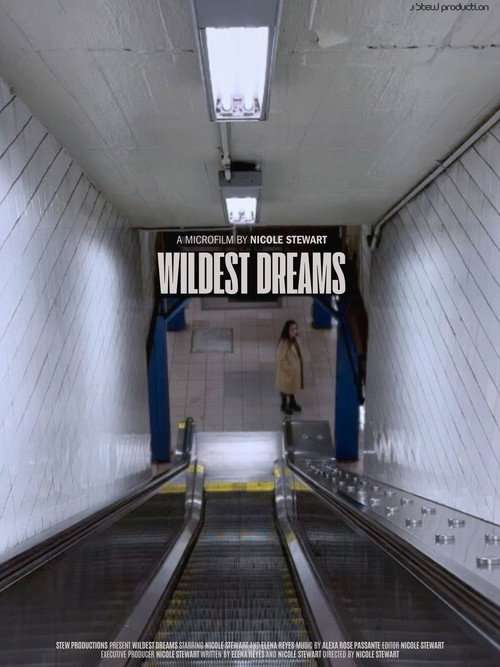 Wildest Dreams poster