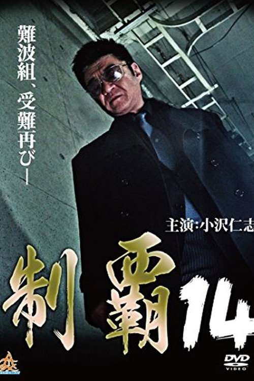 Conquest 14 poster