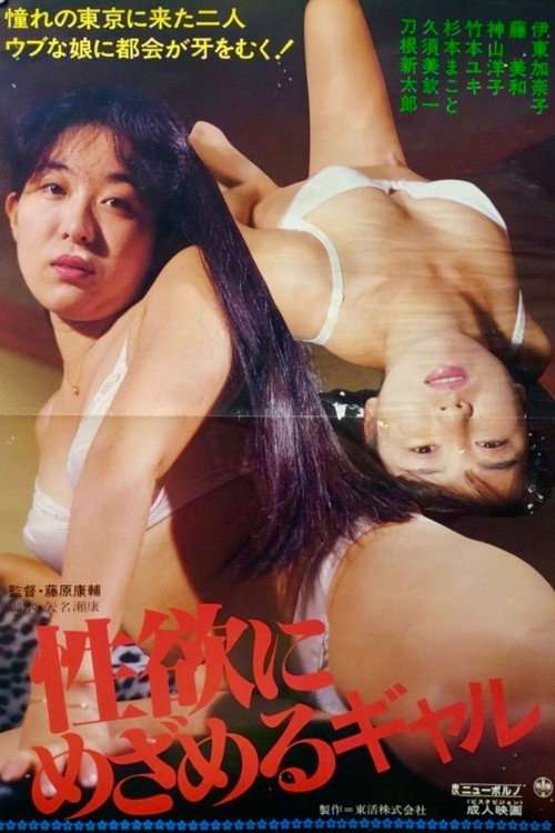 Gal Who Awakens to Libido poster
