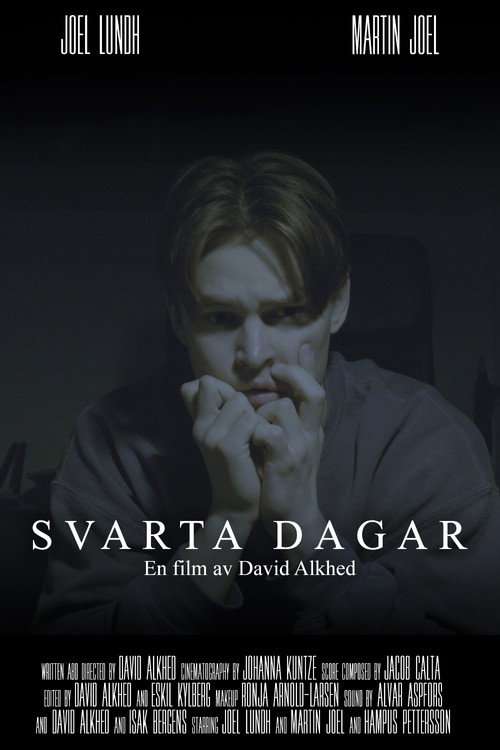 Black Days poster