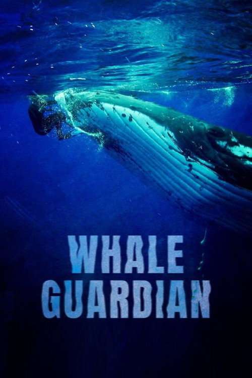 Whale Guardian poster
