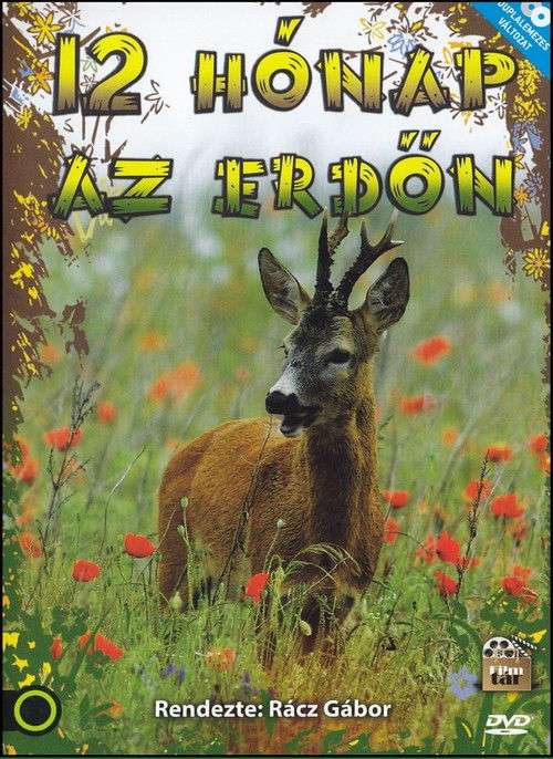 12 hónap az erdőn poster