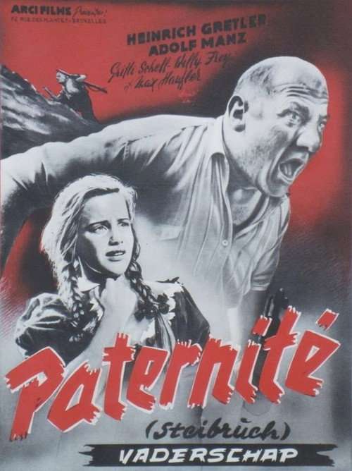 Steibruch poster