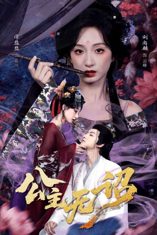 公主无诏 poster