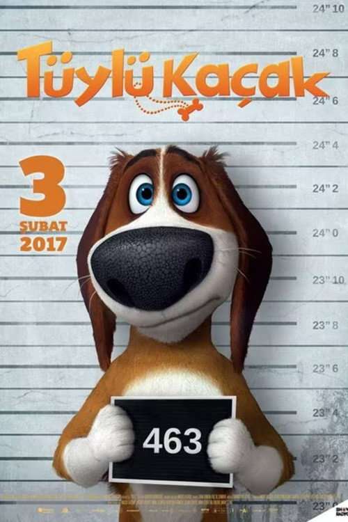 Run Ozzy Run poster