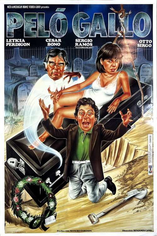 Peló gallo poster
