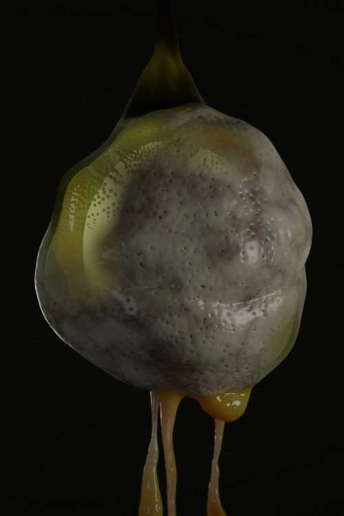 Soup Frog poster