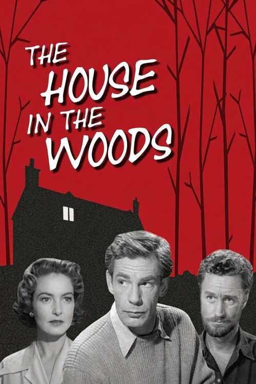 The House in the Woods poster