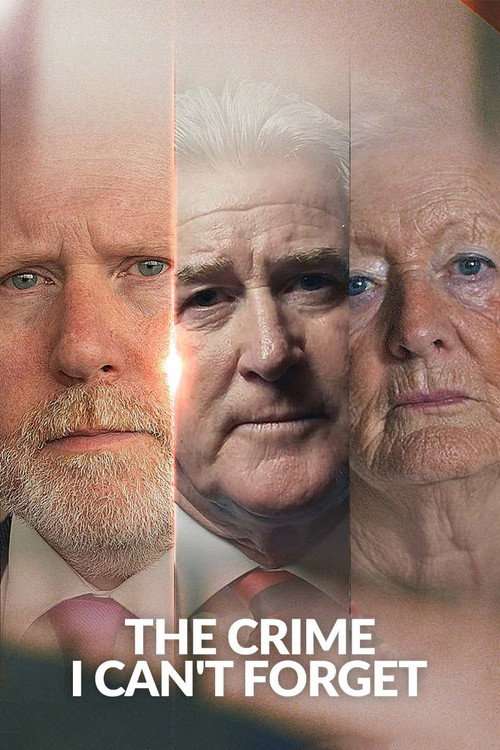 The Crime I Can't Forget poster