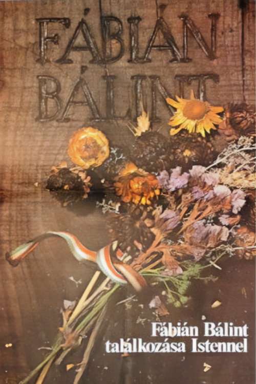Bálint Fábián Meets God poster