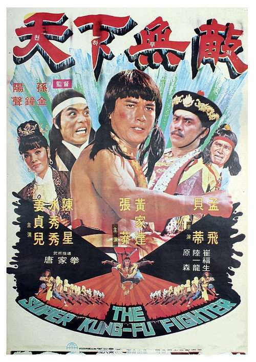 The Super Kung-Fu Fighter poster