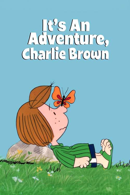 It's an Adventure, Charlie Brown poster