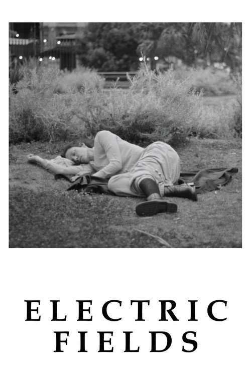 Electric Fields poster