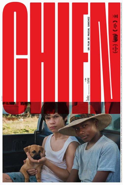 Dog poster