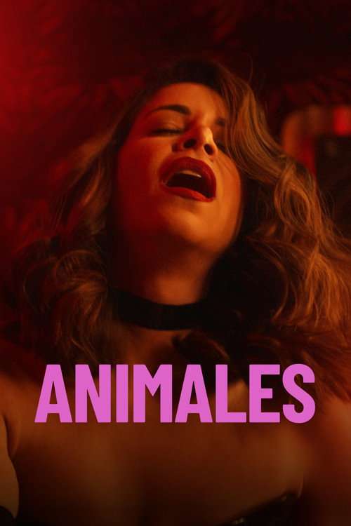 Animals poster