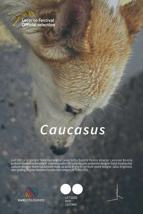 Caucasus poster