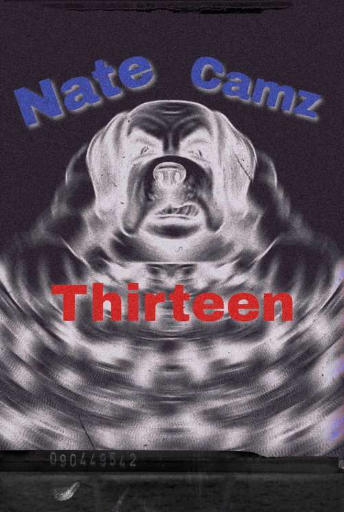 Natecamz 13 poster